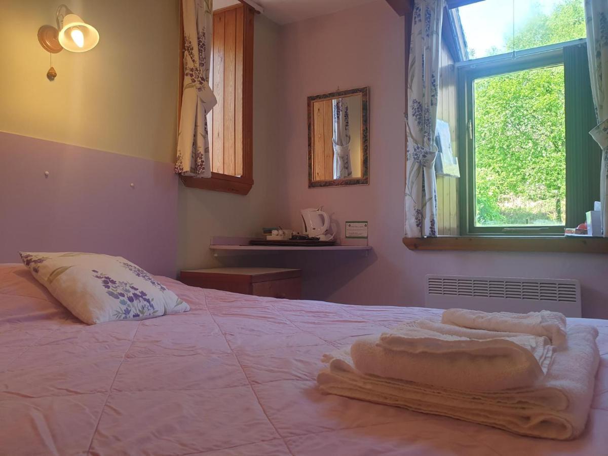 Bryn Elltyd Eco House Guest House Blaenau Ffestiniog Exterior photo