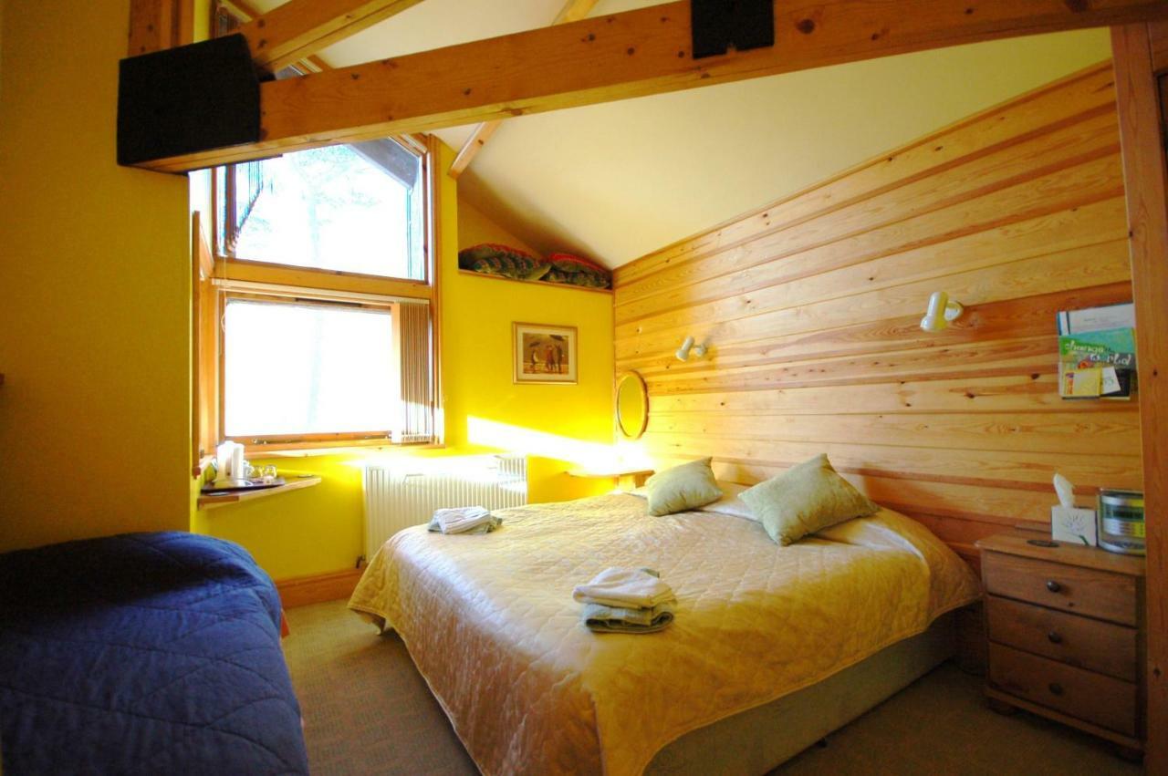 Bryn Elltyd Eco House Guest House Blaenau Ffestiniog Exterior photo